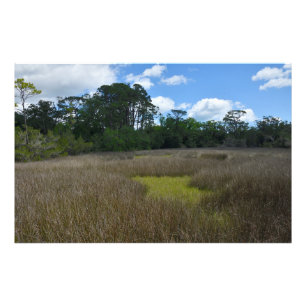 Impression Photo marais Floride