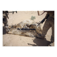 Marines