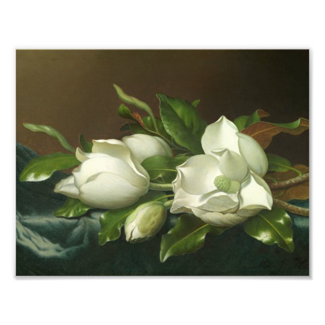 Impression Photo Martin Johnson Heade - Magnolias sur le bleu clair (Devant)