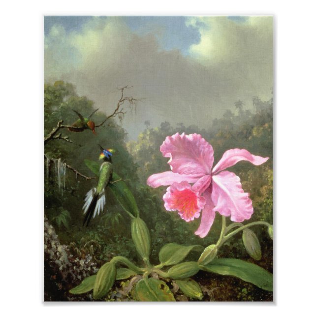 Impression Photo Martin Johnson Heade Orchid Et Hummingbirds (Devant)