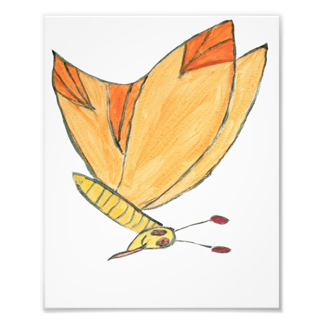 Impression Photo Marvin le papillon (Devant)