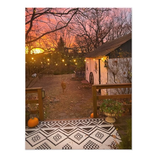 Impression Photo Matin magique (Devant)