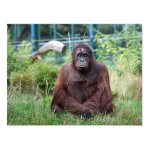 Impression Photo Méditation