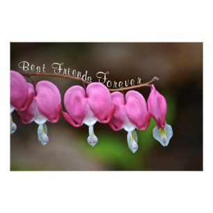 Impression Photo Meilleurs amis pour toujours