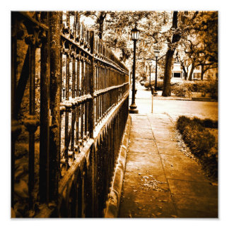Impression Photo Mercer Fence