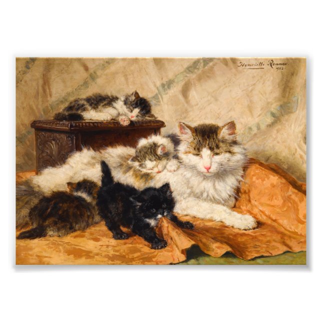 Impression Photo Mère et ses chatons (Devant)