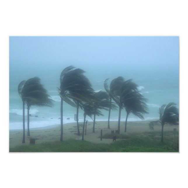 Impression Photo Miami Beach, Floride, vents d'ouragan fouettant (Devant)
