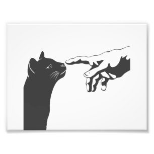 Impression Photo Michelangelo Cat - Choisir la couleur arrière - p