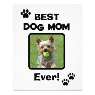 Impression Photo Mignonne Meilleure Maman de Chien Chat Animal de C