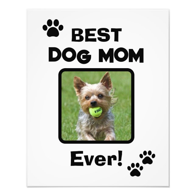 Impression Photo Mignonne Meilleure Maman de Chien Chat Animal de C (Devant)