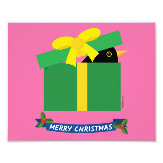 Impression Photo Mignonne Oiseau-Noir En Sortant D'Une Boîte Cadeau
