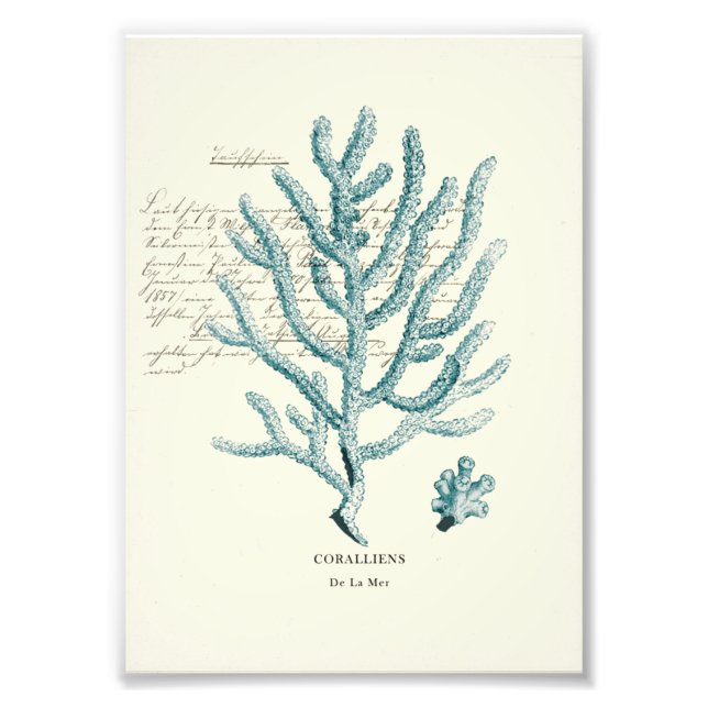 Impression Photo Mille Nautique (Devant)