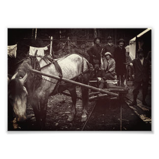 Impression Photo Mine de Kensington, Juneau, Alaska