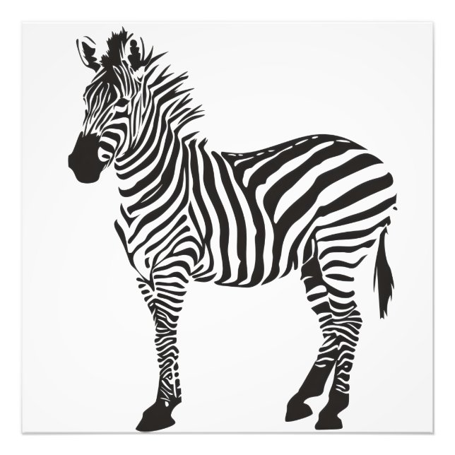 Impression Photo Minimalisme noir et blanc Zebra (Devant)