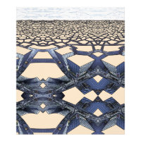 Mirage Urbain : Canyons de Béton sur Terres Arides