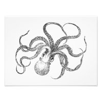 Modèle Octopus vintage
