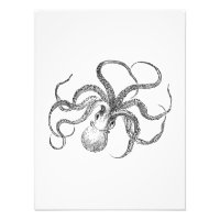 Modèle Octopus vintage