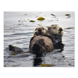 Impression Photo Mom and Pup Sea Otter