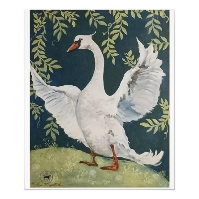 Impression Photo mon cygne doux (Devant)