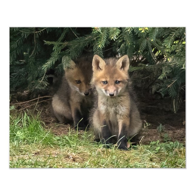 Impression Photo Mon frère (Devant)