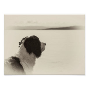 Impression Photo Mon vaisseau viendra