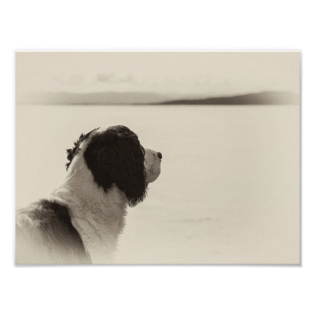 Impression Photo Mon vaisseau viendra (Devant)