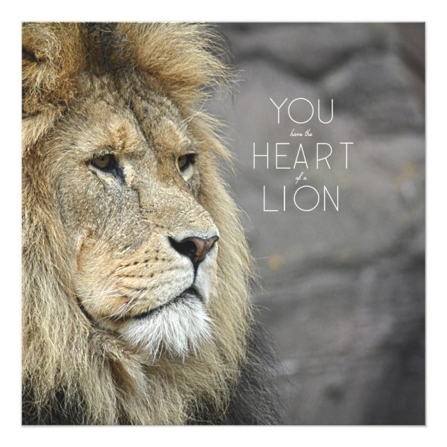 Impression Photo Monarque #1 (24x24) (Devant)