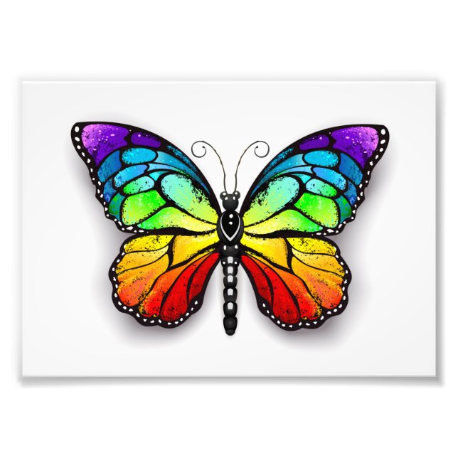 Impression Photo Monarque papillon arc-en-ciel (Devant)