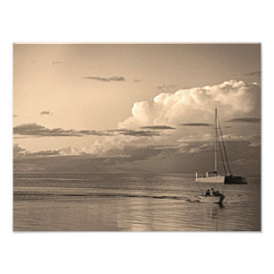 Impression Photo Monkey Mia