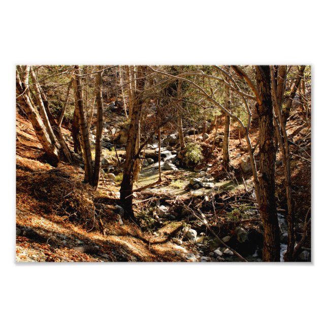 Impression Photo Mont Baldy (Devant)