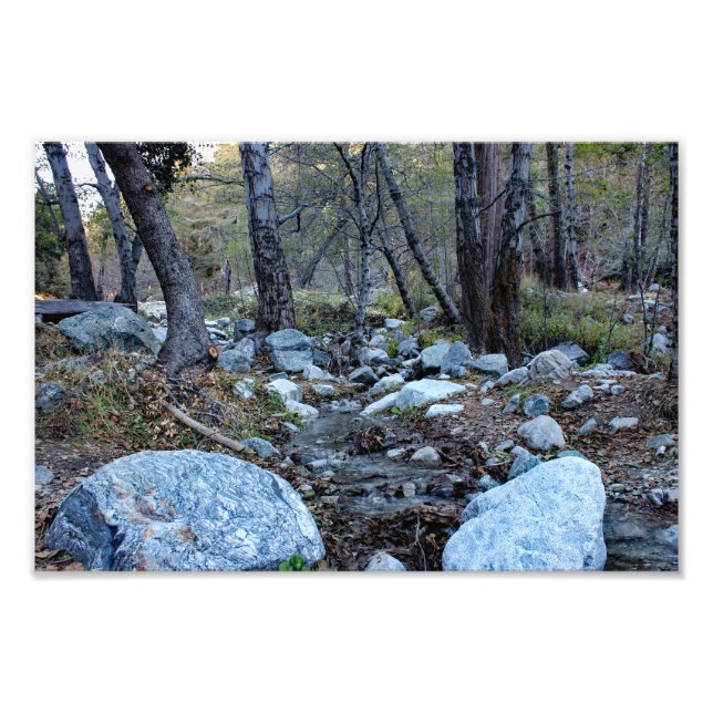 Impression Photo Mont Baldy  (Devant)