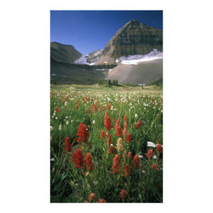 IMPRESSION PHOTO MONT TIMPANOGOS WILDERNESS, UT, US,