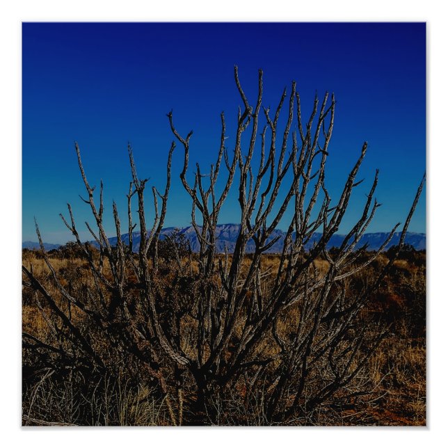 Impression Photo Montagnes Sandia Albuquerque  (Devant)