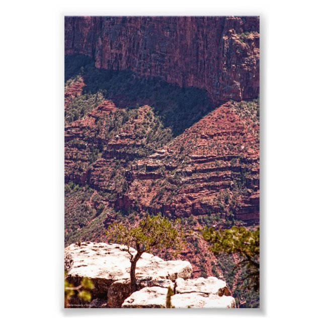 Impression Photo Montres Rafinesques (Devant)