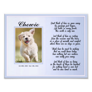 Impression Photo Monument aux animaux de compagnie de chien ou de c