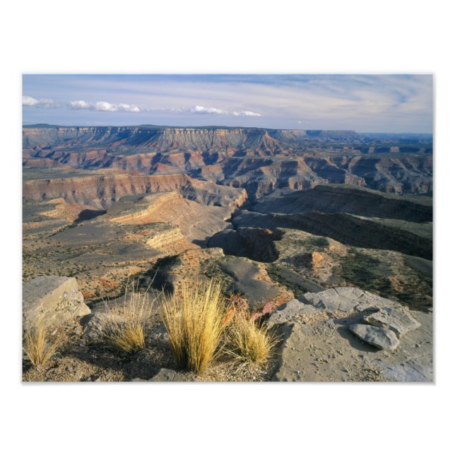 Impression Photo Monument national de Grand Canyon-Parashant, 2 (Devant)