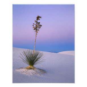 IMPRESSION PHOTO MONUMENT NATIONAL DE WHITE SANDS, NOUVEAU-MEXIQUE.