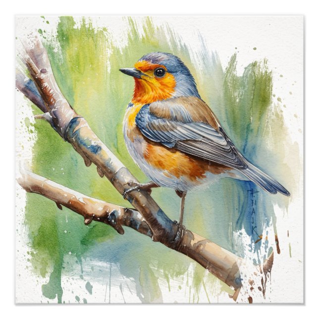 Impression Photo Morning Song robin peinture d'oiseaux (Devant)