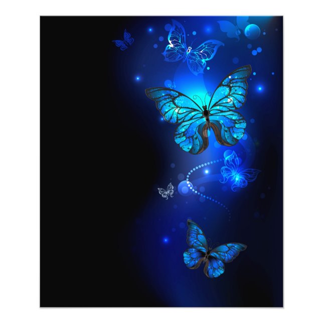 Impression Photo Morpho Butterfly in the Dark Background (Devant)