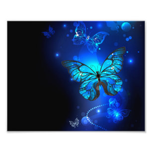 Impression Photo Morpho Butterfly in the Dark Background
