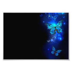 Impression Photo Morpho Butterfly in the Dark Background