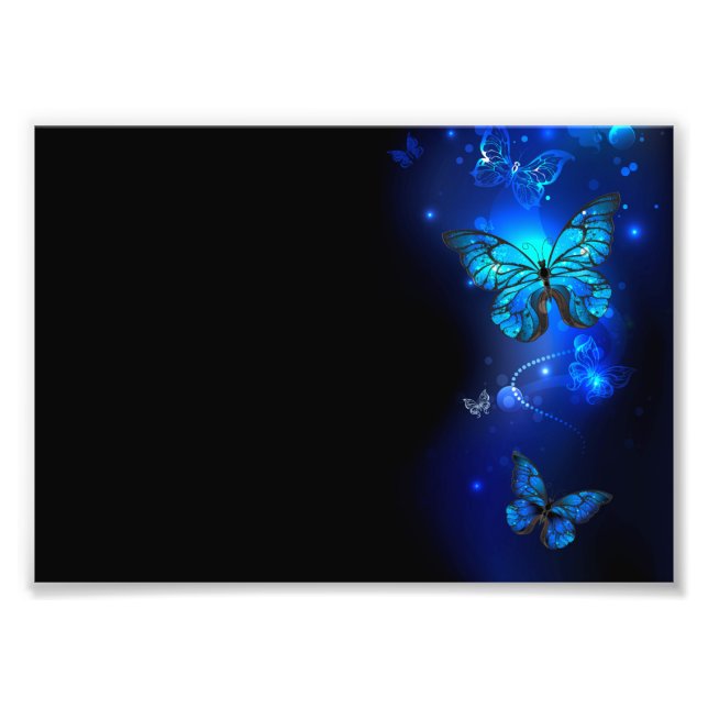 Impression Photo Morpho Butterfly in the Dark Background (Devant)