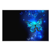 Morpho Butterfly in the Dark Background
