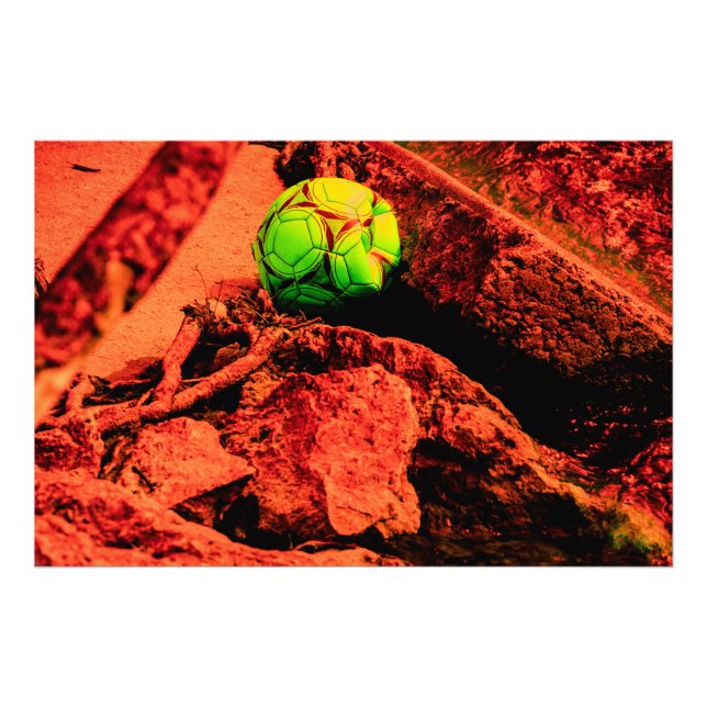 Impression Photo mosquitus (Devant)