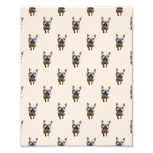 Impression Photo motif_1_bulldog_1