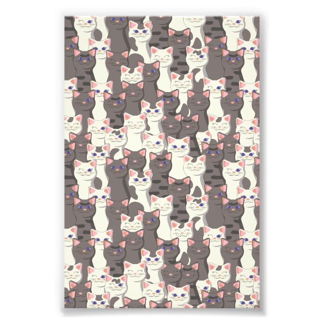 Impression Photo Motif de chats blancs et gris (Devant)