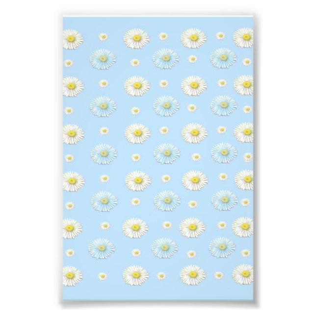 Impression Photo Motif de marguerite sur fond bleu clair  (Devant)