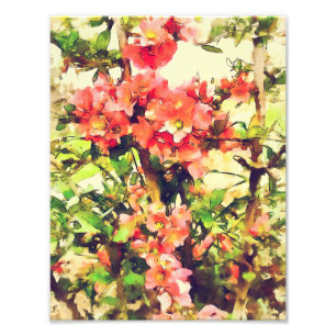 Impression Photo Motif floral aquarelle rose rouge 1