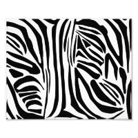 Motif Imprimé Zèbre Noir et Blanc Audacieux