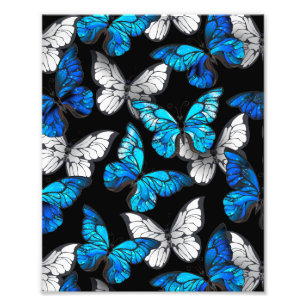 Impression Photo Motif sans couleur foncée avec papillons bleus Mor